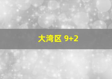 大湾区 9+2